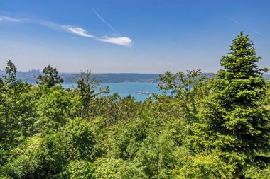 Beykoz, İstanbul, Hindi 2019. Bosporus manzarası yeşil doğa ve mavi gökyüzü ile yusa tepesinden.