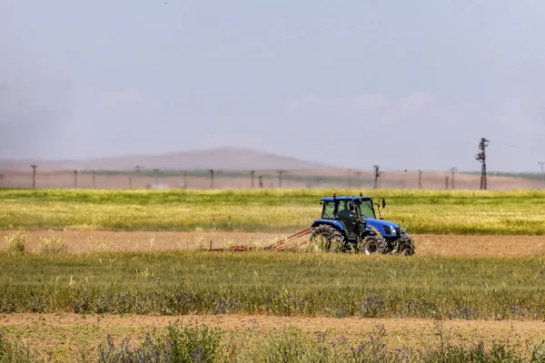 Konya Hindi 2019 Konya Ovasında Hindi Traktörü Ile Tarım Faaliyetleri — Stok fotoğraf