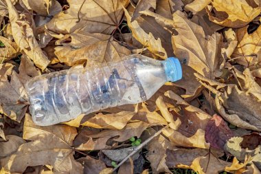 Doğadaki plastik şişeler ve çevre kirliliği