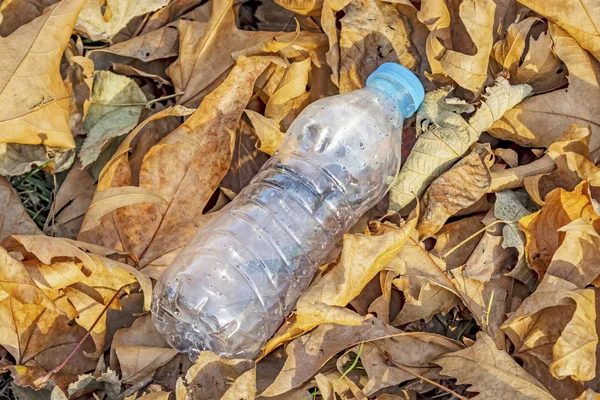Plastic bottles in nature and environmental pollution
