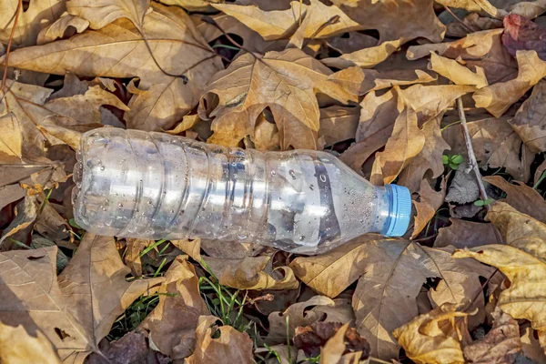 Plastic bottles in nature and environmental pollution