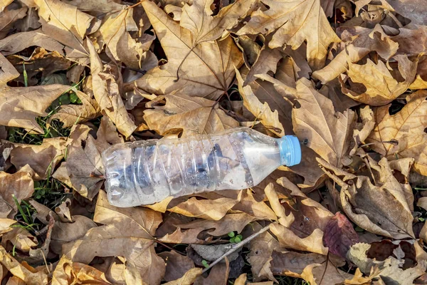 Butelki Tworzyw Sztucznych Przyrodzie Zanieczyszczenie Środowiska — Zdjęcie stockowe