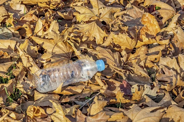 Butelki Tworzyw Sztucznych Przyrodzie Zanieczyszczenie Środowiska — Zdjęcie stockowe