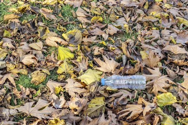 Bottiglie Plastica Natura Inquinamento Ambientale — Foto Stock