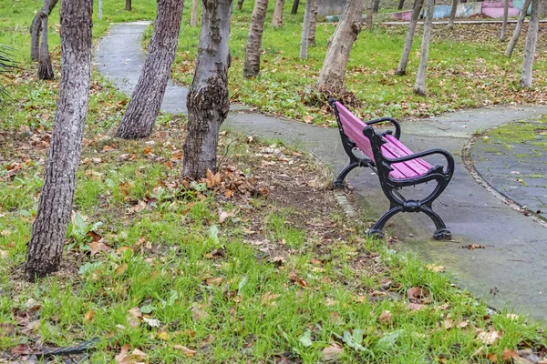 Color Bench Public Park Autumn Season — Stock Photo, Image