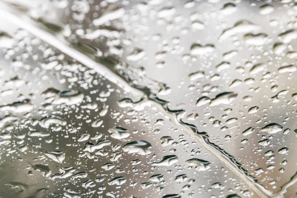 Fechar Gotas Chuva Janela Temporada Inverno — Fotografia de Stock