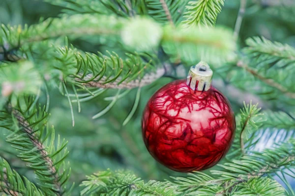 Borovice Větve Vánoční Ozdobou — Stock fotografie