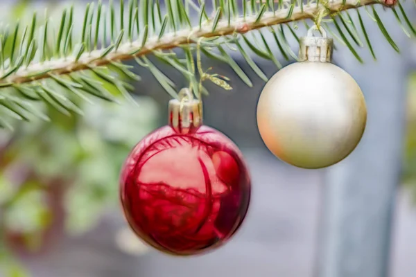 クリスマスオーナメントの松の木と枝 — ストック写真