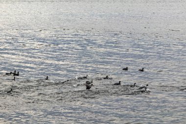 Marmara 'nın kış mevsimindeki manzarası ve deniz kıyıları ve uçurumlarla dolu bulutlu havası