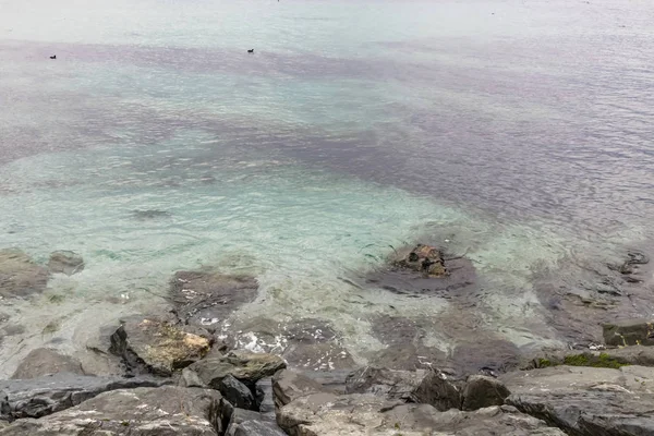 Utsikt Över Marmara Havet Vintersäsongen Och Molnigt Väder Med Havsstrand — Stockfoto