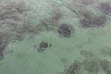 Kış mevsiminde Marmara Denizi manzarası ve temiz ve açık denizli bulutlu hava