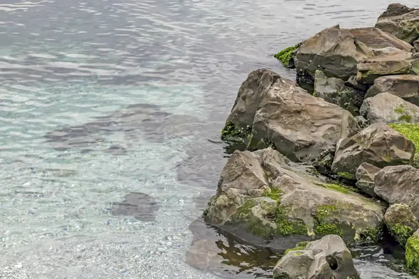 Kust Kliffen Heldere Zee Het Winterseizoen — Stockfoto