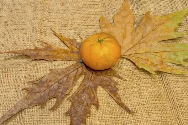 Cerrar Los Frutos Mandarina Hojas Otoño Fondo Mimbre —  Fotos de Stock