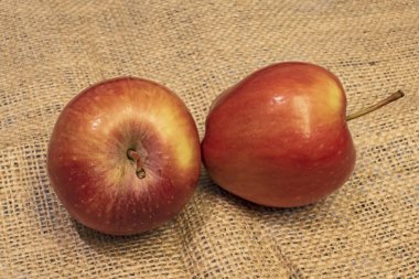 Arka planda kırmızı elmaları yemeye hazır olun.