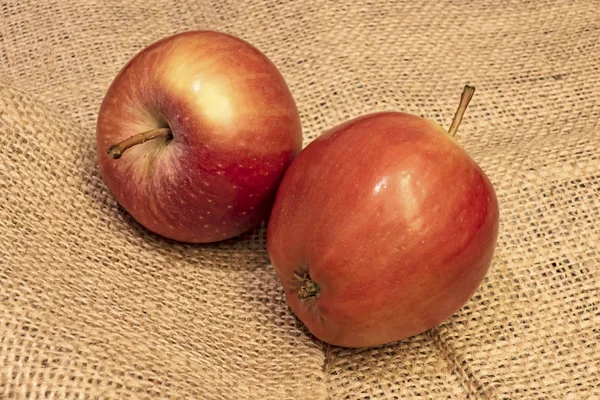 Nahaufnahme Bereit Rote Äpfel Auf Hintergrund Essen — Stockfoto