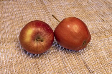 Arka planda kırmızı elmaları yemeye hazır olun.