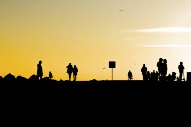 İnsanlar gün batımında siluetleri doğada