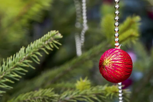 松の木の枝にクリスマスツリーの装飾品を閉じ — ストック写真