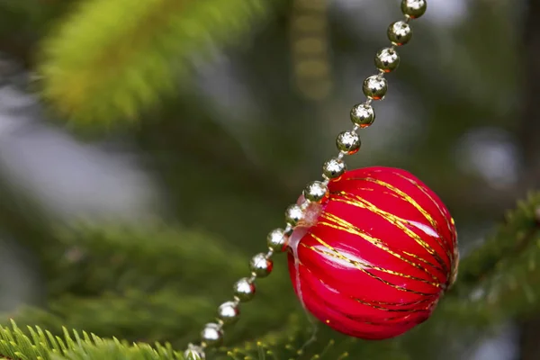 Zavřít Vánoční Ozdoby Borovicích Větví — Stock fotografie