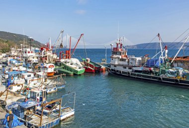 Rumelikavagi, İstanbul, 26 Ocak 20.Rumeli Kavagi, Sariyer 'in Avrupai kesiminde, balık, midye ve incir ile ünlü bir kıyı bölgesidir.