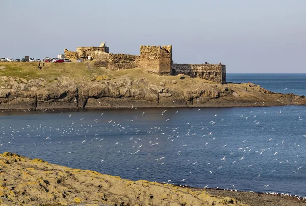 Rumelifeneri, İstanbul, Türkiye-26 Ocak 2020. Rumelifeneri, İstanbul 'un Saryer ilçesinde yer alıyor. Boğazın en kuzeybatısında yer alan bir kıyı köyüdür..