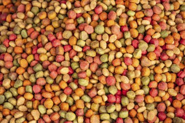 close up and dry cat food