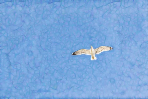Gaviota Volando Cielo Azul — Foto de Stock