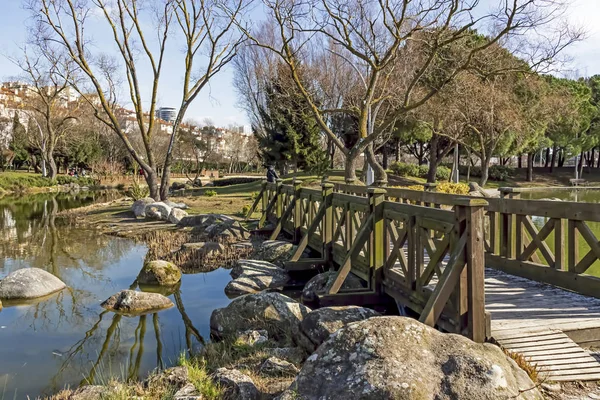Bahcesehir Istanbul Turkey February 2020 Baheehir Pond Project Known First — Stockfoto