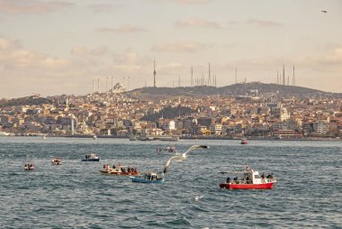 İstanbul, 23 Şubat 2020. Avrupa ile Asya arasında tarihi binalar ve İstanbul Boğazı arasında rüya şehri