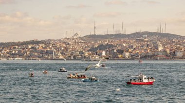 İstanbul, 23 Şubat 2020. Avrupa ile Asya arasında tarihi binalar ve İstanbul Boğazı arasında rüya şehri