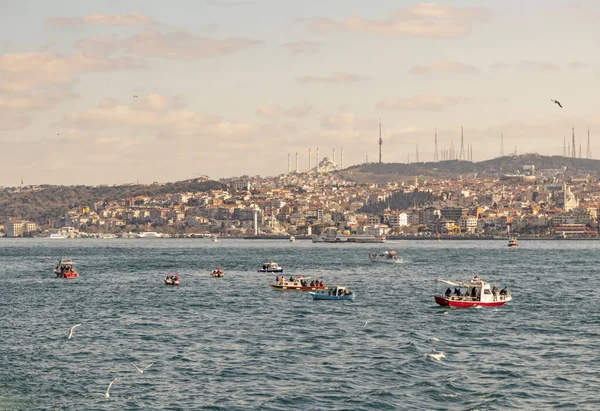 Istanbul Pavo Febrero 2020 Dream Ciudad Entre Europa Asia Con —  Fotos de Stock