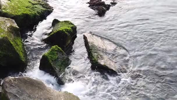 Klippor Och Kustvågor Vid Havet — Stockvideo