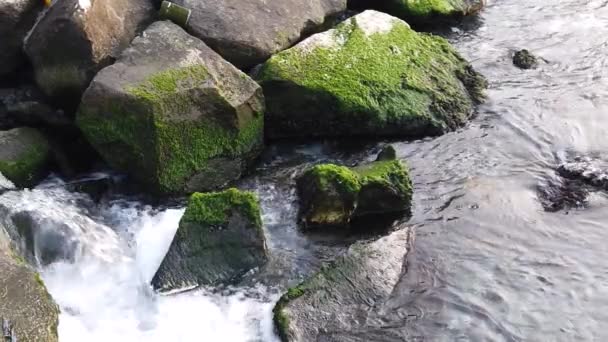 Klippor Och Kustvågor Vid Havet — Stockvideo