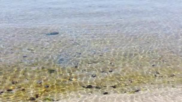 mer cristalline et vagues avec sable 