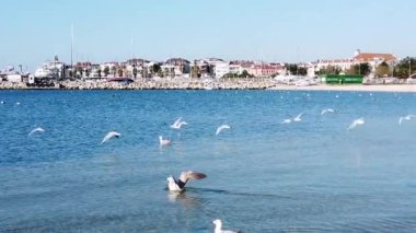 Yeşilköy, İstanbul, 23 Şubat 2020. Yeşilköy ve Marmara Denizi 'nden şehir manzarası ve manzara.