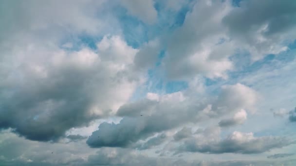 การเคล อนไหวทางอากาศบนท องฟ าในสภาพอากาศเมฆ — วีดีโอสต็อก