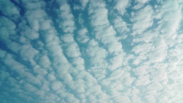 Movimientos Aire Cielo Tiempo Nublado — Vídeo de stock