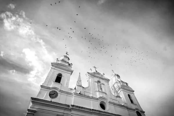 Catedral Belem Para — ストック写真