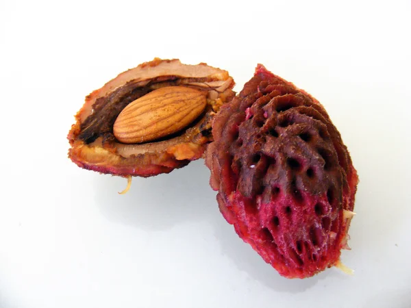 seftali kabuk ve cekirdegi