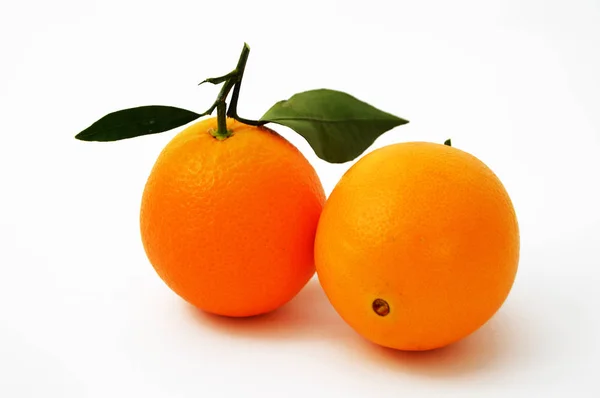 Meilleures et meilleures photos de haute résolution depositosphotos orange — Photo