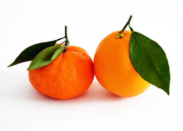 Photos orange et mandarine sur le plus beau et le meilleur fond blanc — Photo