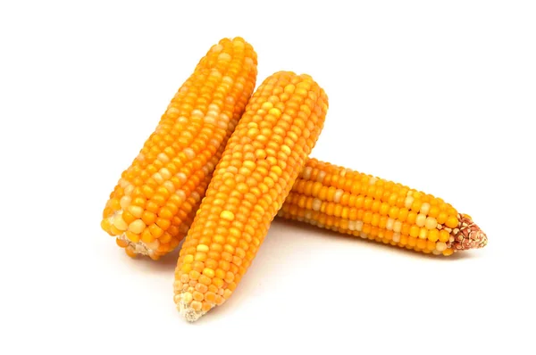 Нові зображення кукурудзи — стокове фото