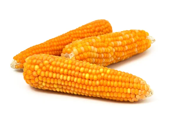 Az új kukorica képek — Stock Fotó