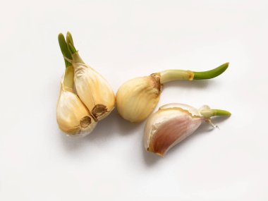 Tek ve birden çok sarımsak makro stok fotoğraf