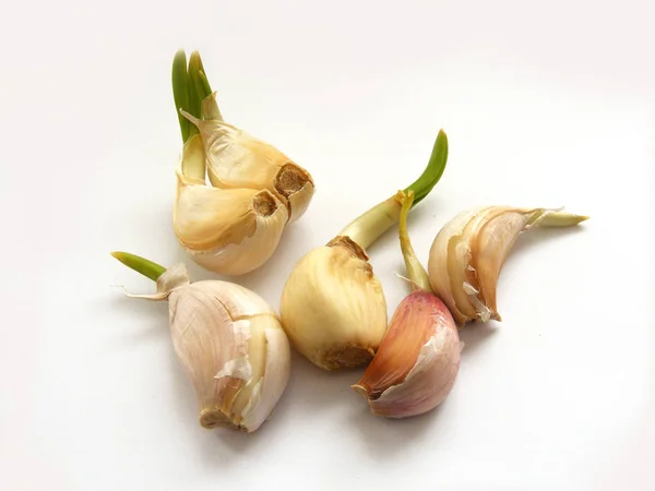 Single and multiple garlic macro stock pictures — Stock Photo, Image