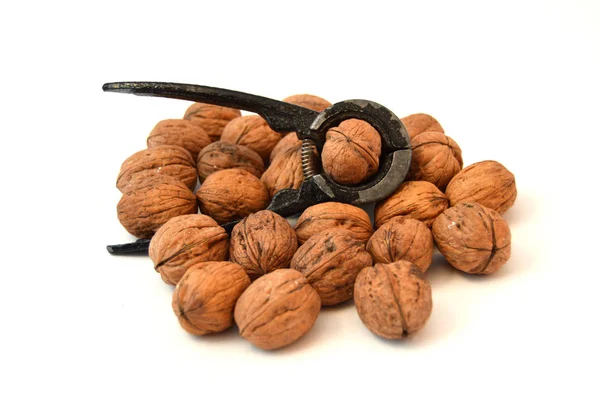 Shelled walnuts and walnut cracking tool — Stock Photo, Image