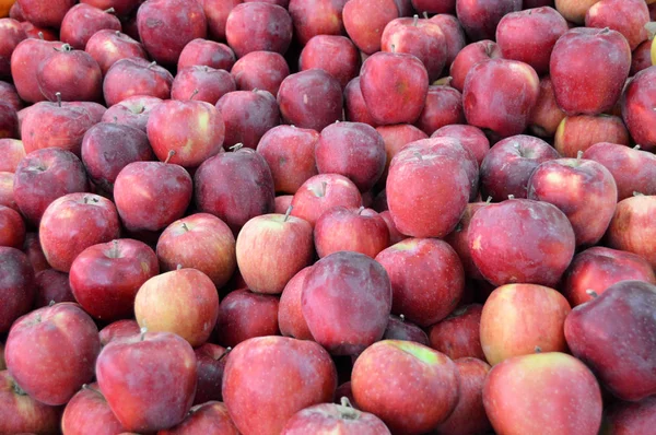 Greengrocer y venta de manzanas rojas, manzanas verdes, manzanas amarillas, fotos — Foto de Stock