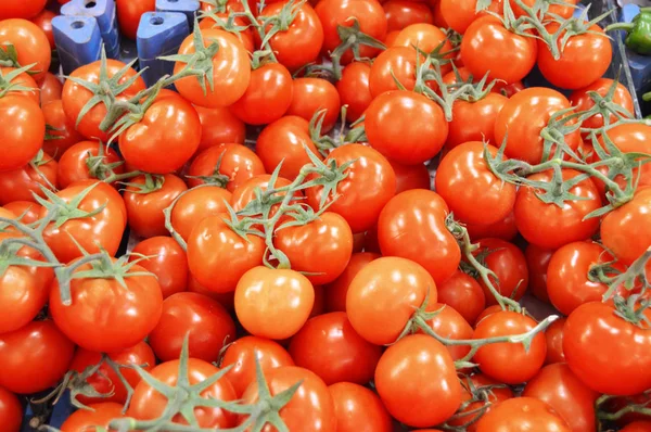 Fotos de tomates orgánicos en las secciones de venta de comestibles y comestibles — Foto de Stock