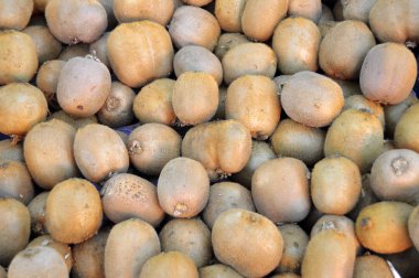 Satılık, etiket, yeşil kivi, doğal kivi kivi