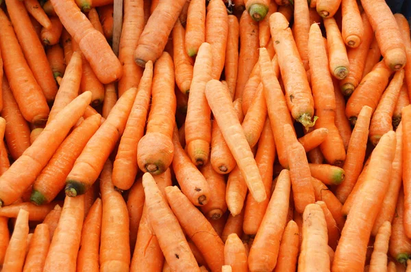 Fotos de cenouras orgânicas e saudáveis em verdura — Fotografia de Stock